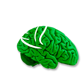 Green Brain with wings - imagination