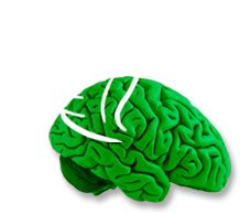 Brain with wings - Agile