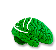 Green Brain with wings