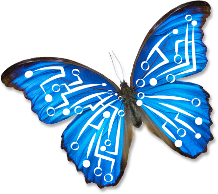 Blue butterfly