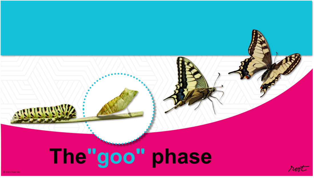 The goo phase of strategic change